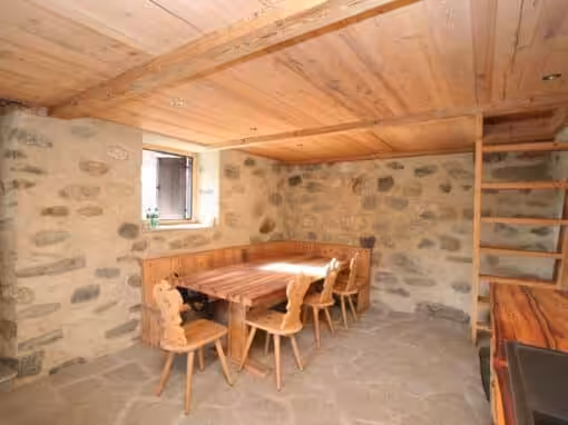 Maiensäs mit Altholz Stalllärche